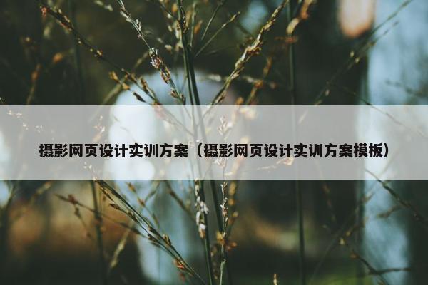摄影网页设计实训方案（摄影网页设计实训方案模板）