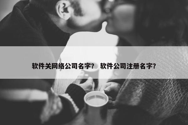 软件关网络公司名字？ 软件公司注册名字？