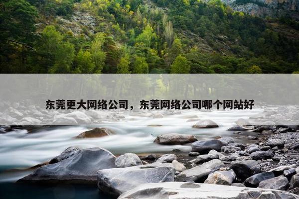 东莞更大网络公司，东莞网络公司哪个网站好