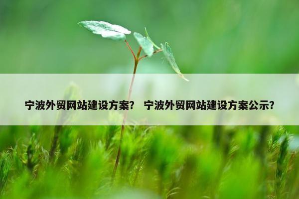 宁波外贸网站建设方案？ 宁波外贸网站建设方案公示？