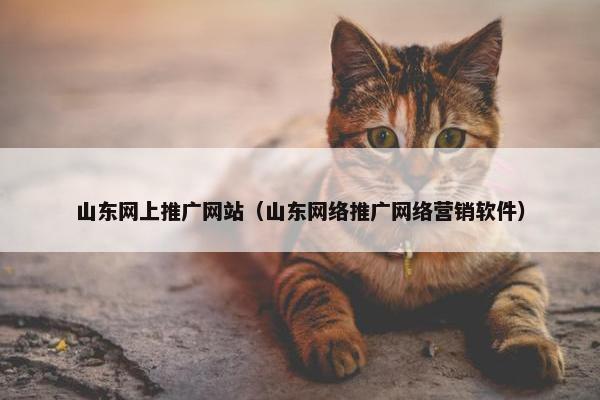 山东网上推广网站（山东网络推广网络营销软件）