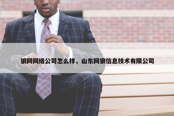 狼网网络公司怎么样，山东网狼信息技术有限公司