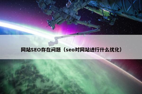 网站SEO存在问题（seo对网站进行什么优化）