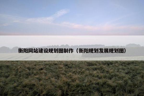 衡阳网站建设规划图制作（衡阳规划发展规划图）