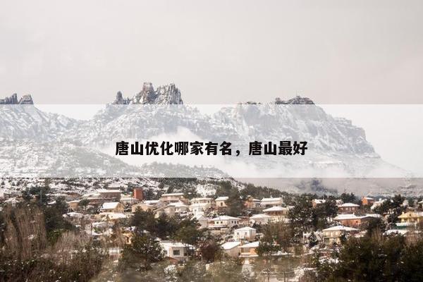 唐山优化哪家有名，唐山最好