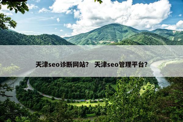 天津seo诊断网站？ 天津seo管理平台？