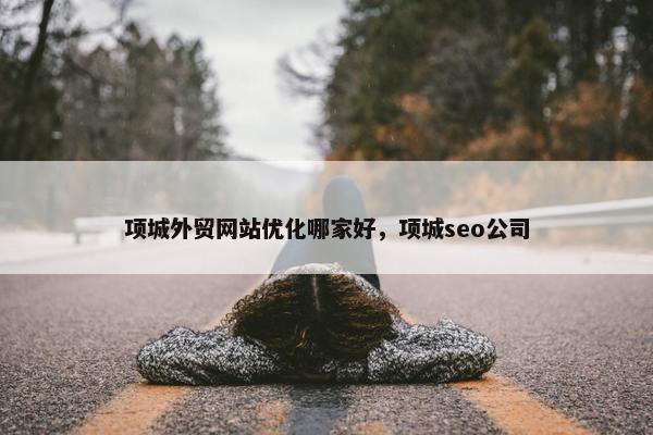 项城外贸网站优化哪家好，项城seo公司