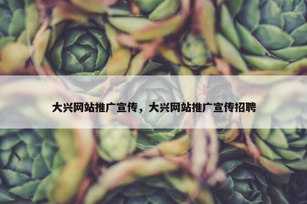 大兴网站推广宣传，大兴网站推广宣传招聘