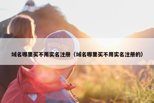 域名哪里买不用实名注册（域名哪里买不用实名注册的）