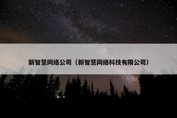 新智慧网络公司（新智慧网络科技有限公司）