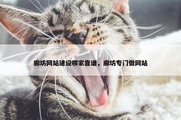 廊坊网站建设哪家靠谱，廊坊专门做网站