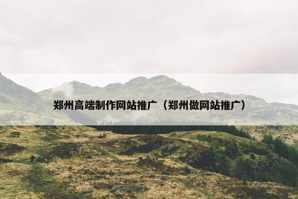 郑州高端制作网站推广（郑州做网站推广）