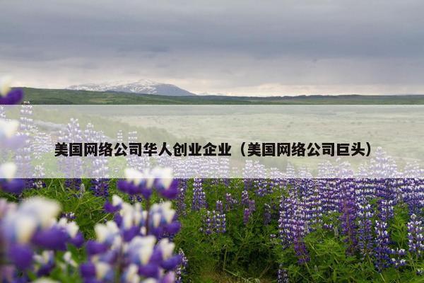 美国网络公司华人创业企业（美国网络公司巨头）