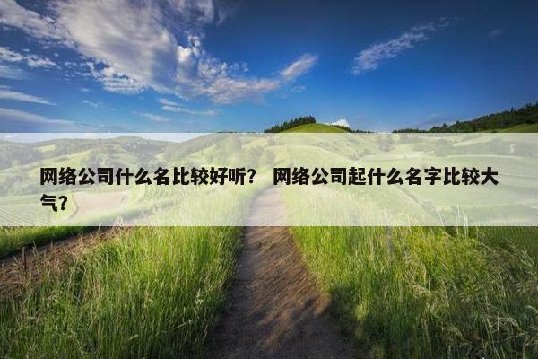 网络公司什么名比较好听？ 网络公司起什么名字比较大气？