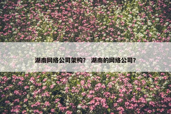 湖南网络公司架构？ 湖南的网络公司？