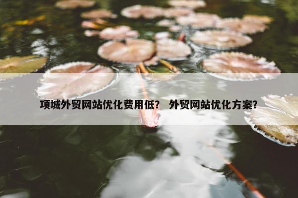 项城外贸网站优化费用低？ 外贸网站优化方案？