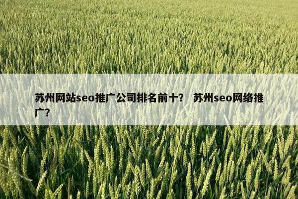 苏州网站seo推广公司排名前十？ 苏州seo网络推广？