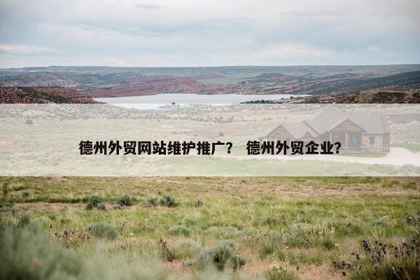 德州外贸网站维护推广？ 德州外贸企业？