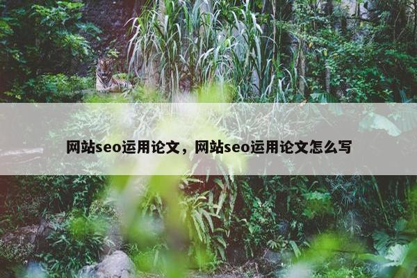 网站seo运用论文，网站seo运用论文怎么写