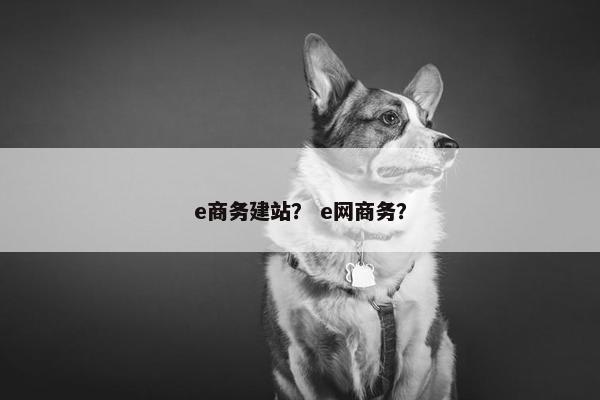 e商务建站？ e网商务？