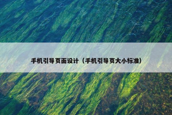 手机引导页面设计（手机引导页大小标准）