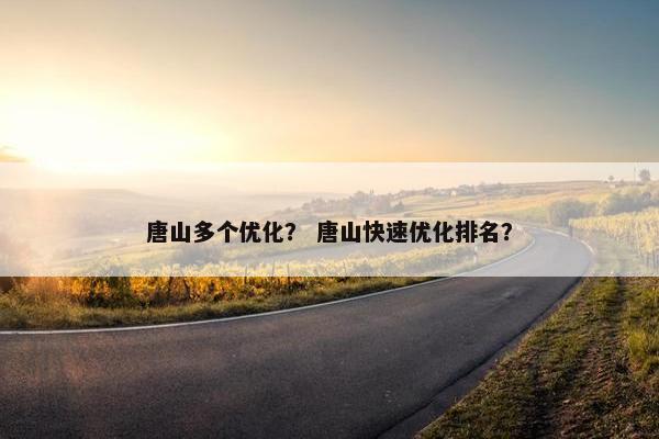 唐山多个优化？ 唐山快速优化排名？