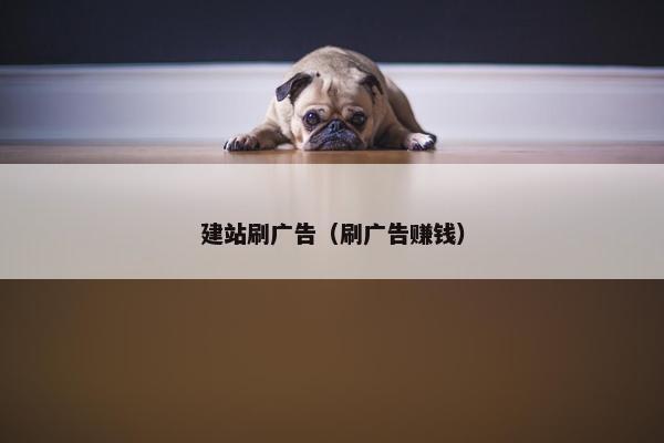 建站刷广告（刷广告赚钱）