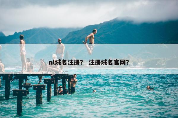 nl域名注册？ 注册域名官网？