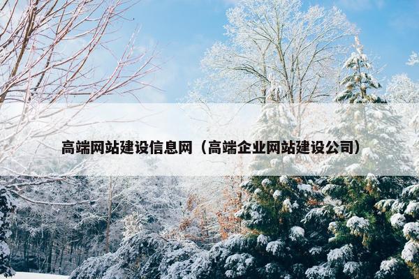 高端网站建设信息网（高端企业网站建设公司）