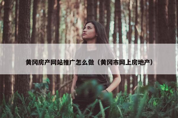 黄冈房产网站推广怎么做（黄冈市网上房地产）