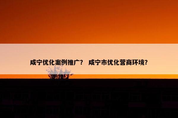 咸宁优化案例推广？ 咸宁市优化营商环境？