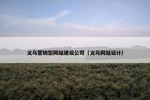 义乌营销型网站建设公司（义乌网站设计）