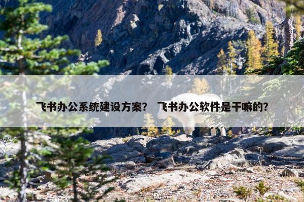 飞书办公系统建设方案？ 飞书办公软件是干嘛的？