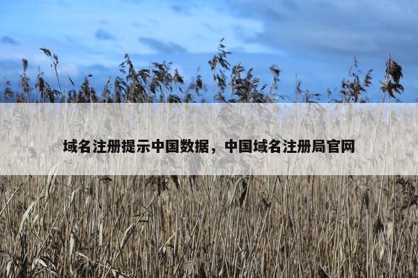域名注册提示中国数据，中国域名注册局官网