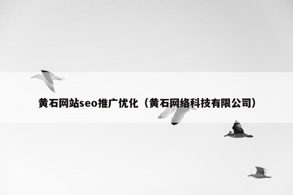 黄石网站seo推广优化（黄石网络科技有限公司）