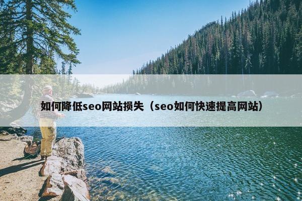 如何降低seo网站损失（seo如何快速提高网站）