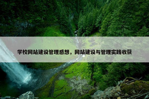 学校网站建设管理感想，网站建设与管理实践收获