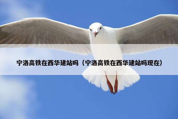 宁洛高铁在西华建站吗（宁洛高铁在西华建站吗现在）