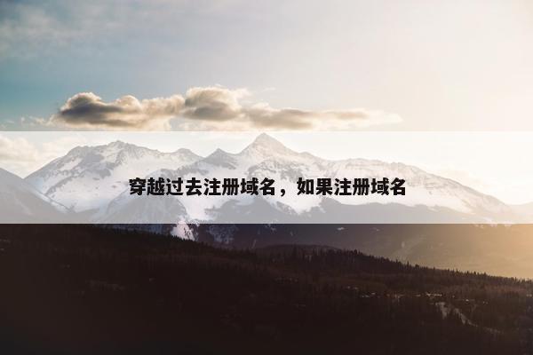 穿越过去注册域名，如果注册域名