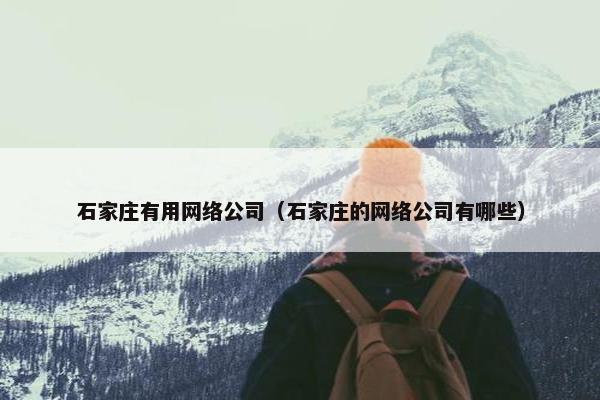 石家庄有用网络公司（石家庄的网络公司有哪些）