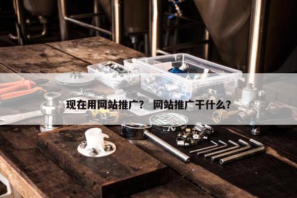 现在用网站推广？ 网站推广干什么？