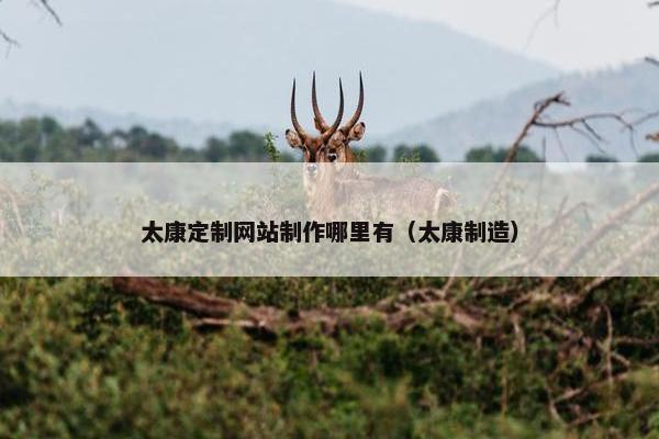 太康定制网站制作哪里有（太康制造）