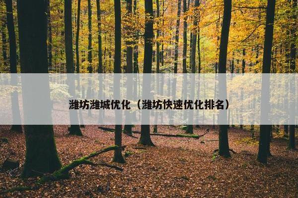 潍坊潍城优化（潍坊快速优化排名）