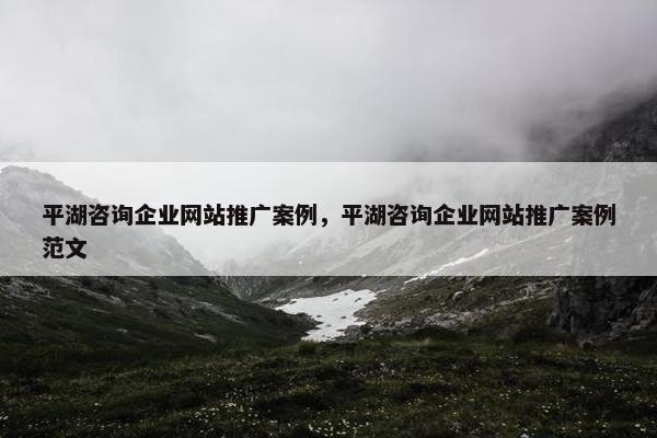 平湖咨询企业网站推广案例，平湖咨询企业网站推广案例范文