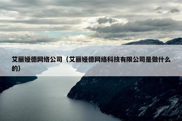 艾丽娅德网络公司（艾丽娅德网络科技有限公司是做什么的）