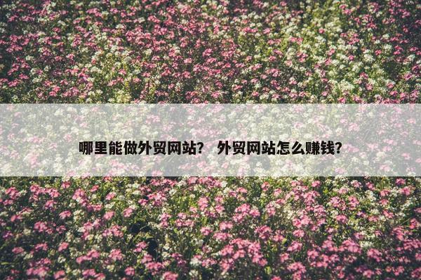 哪里能做外贸网站？ 外贸网站怎么赚钱？