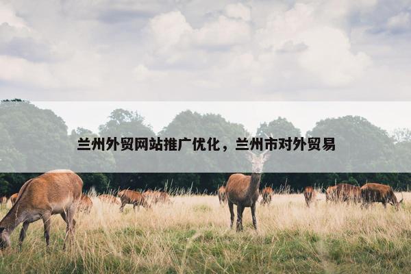兰州外贸网站推广优化，兰州市对外贸易