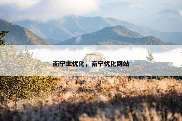 南宁主优化，南宁优化网站
