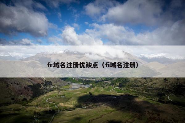 fr域名注册优缺点（fi域名注册）