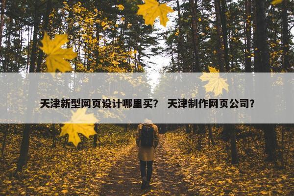 天津新型网页设计哪里买？ 天津制作网页公司？
